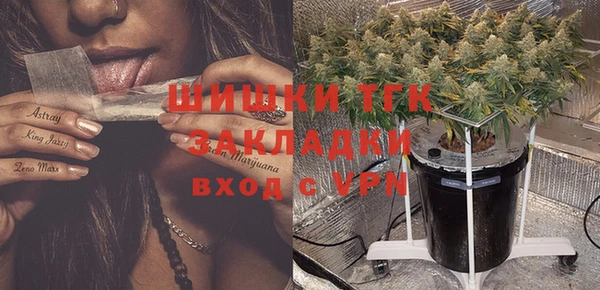 гидра Заволжск