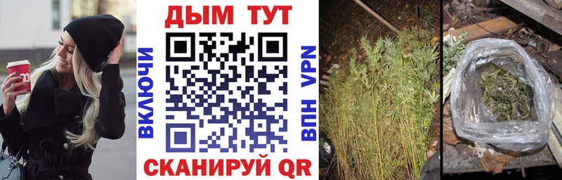 shop телеграм  Дедовск  Шишки марихуана семена 